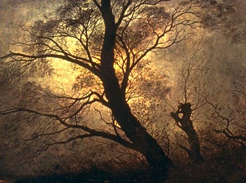 Caspar David Friedrich Trees in the moonlight China oil painting art